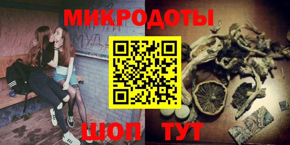 Псилоцибиновые грибы Psilocybe Ханты-Мансийск